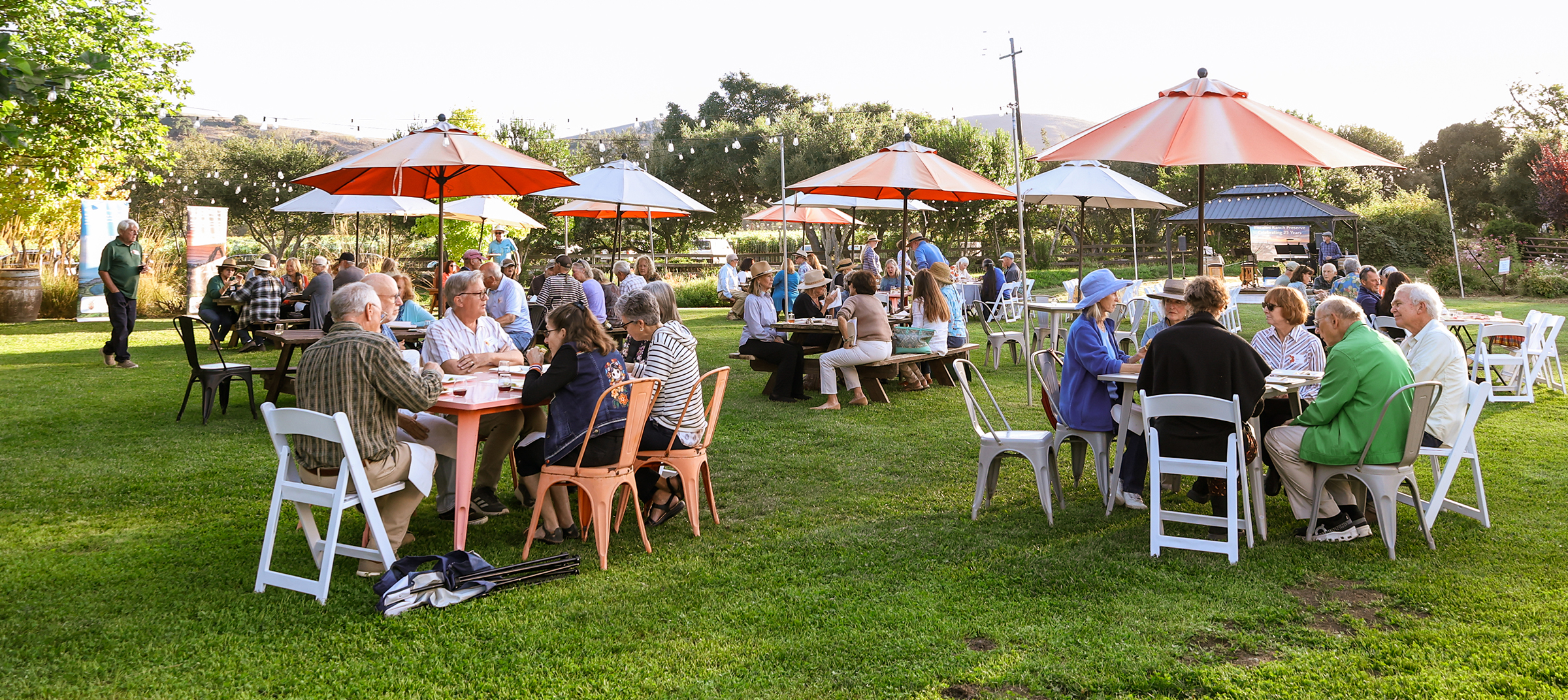 overview shot of people at picnic tables in evening sun